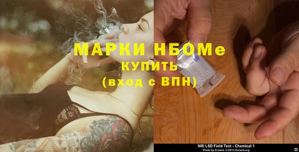 дмт Алзамай