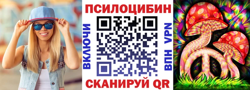 Псилоцибиновые грибы Cubensis  Кириши 